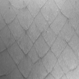 cropped image