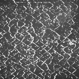 Cellular pattern edges before computation of the cell size