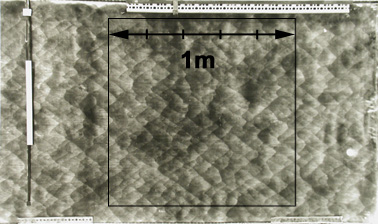 Picture of the sooted foil HT95 (Sandia series #5)